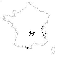 Alchemilla coriacea Buser - carte des observations