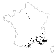 Crataegus rotundifolia Lam. - carte des observations