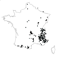Pyrus cotoneaster (L.) Moench - carte des observations
