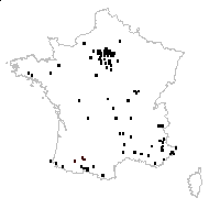 Malus pumila Mill. - carte des observations