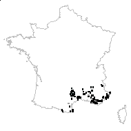 Potentilla laeta Rchb. - carte des observations