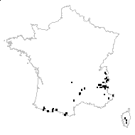 Drymocallis rupestris (L.) Soják - carte des observations
