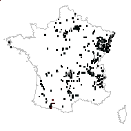 Padus vulgaris Borkh. - carte des observations