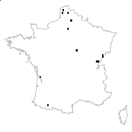 Rosa ×lutens Wolley-Dod - carte des observations