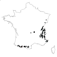 Sorbus purpurea Dulac - carte des observations