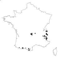 Alchemilla fissa subsp. pyrenaica (Dufour) O.Bolòs & Vigo - carte des observations