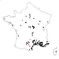 Galium parisiense L. subsp. parisiense - carte des observations