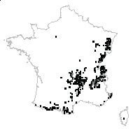 Aparine rotundifolia (L.) Delarbre - carte des observations
