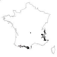 Salix pyrenaeicola Gand. - carte des observations
