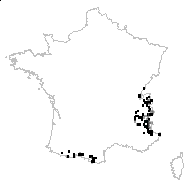 Salix kitaibeliana Willd. - carte des observations