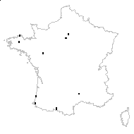 Hydrangea japonica Siebold - carte des observations