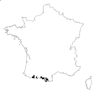 Saxifraga petraea sensu Gouan - carte des observations