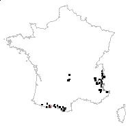 Saxifraga bryoides var. arvernica Chassagne - carte des observations