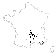 Saxifraga hypnoides subsp. continentalis Engl. & Irmsch. - carte des observations