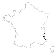 Chondrosea diapensioides (Bellardi) Haw. - carte des observations