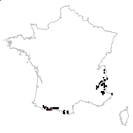 Saxifraga pyrenaica sensu Vill. - carte des observations