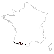 Saxifraga lactiflora Pugsley - carte des observations