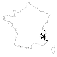 Carduus defloratus var. zetterstedtianus (Rouy) Arènes - carte des observations