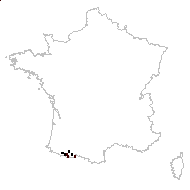 Saxifraga exarata var. pyrenaica Engl. - carte des observations