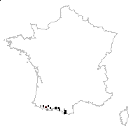 Saxifraga chamaepityfolia Bubani - carte des observations