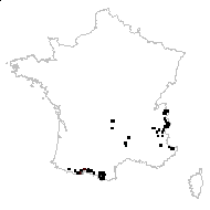 Saxifraga stellaris subsp. comosa Retz. - carte des observations