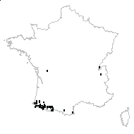 Saxifraga ×occidentalis Bubani - carte des observations