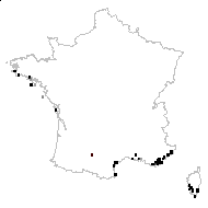 Bartsia versicolor (Willd.) Pers. - carte des observations