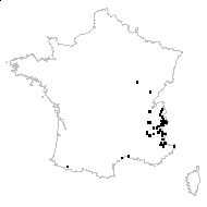 Carduus defloratus var. transalpinus (Suter) DC. - carte des observations