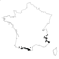 Euphrasia sennenii (Chabert) Sennen - carte des observations