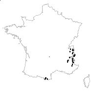 Pedicularis verticillata L. - carte des observations