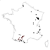 Rhinanthus minor subsp. major Celak. - carte des observations