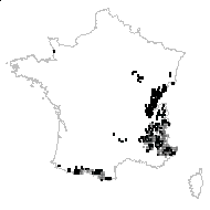 Chromatolepis acaulis (L.) Dulac - carte des observations