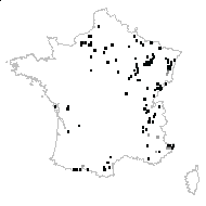 Atropa caucasica Kreyer - carte des observations