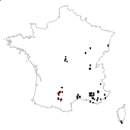 Thymelaea passerina (L.) Coss. & Germ. - carte des observations
