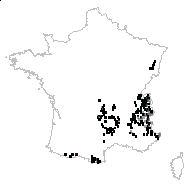 Valeriana montana subsp. tripteris Bonnier & Layens - carte des observations