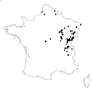 Leucojum vernale Salisb. - carte des observations