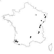 Carex brachystachys Schrank - carte des observations
