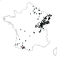Vignea brizoides (L.) Rchb. - carte des observations