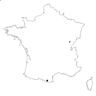Carex compressa Gaudin - carte des observations