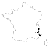 Carex tendae (W.Dietr.) Pawl. - carte des observations