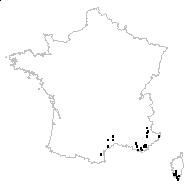 Carex erythrostachys Hoppe - carte des observations