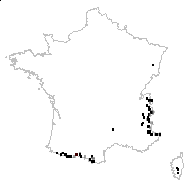 Carex spadicea Schkuhr - carte des observations