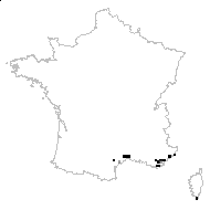 Carex oedipostyla Duval-Jouve - carte des observations