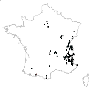 Cyanus montanus Delarbre - carte des observations
