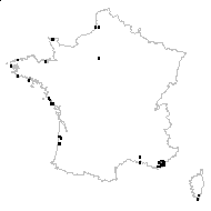 Isolepis magellanica Gaudich. - carte des observations