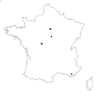 Isolepis supina (L.) R.Br. - carte des observations
