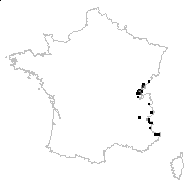 Leucocoma alpina (L.) Rydb. - carte des observations