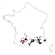Gladiolus arvaticus Jord. - carte des observations