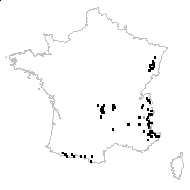Juncus sudeticus Willd. - carte des observations