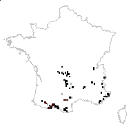 Erythronium ovatifolium Poir. - carte des observations